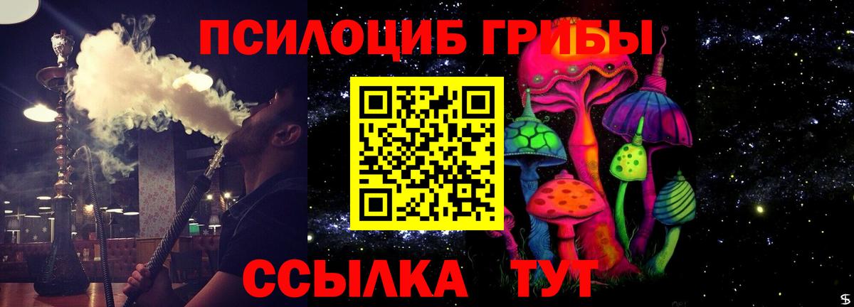 Галлюциногенные грибы Psilocybe  Вход с VPN  Лысьва  Галлюциногенные грибы Psilocybe 